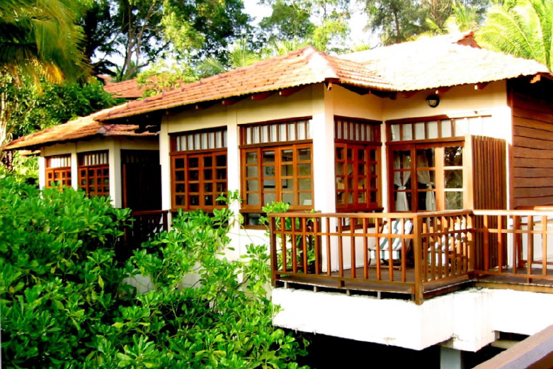 Sơn gỗ ngoài trời Gori Avillion Dickson Port